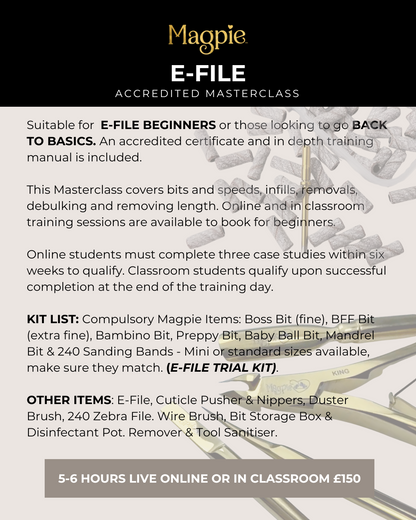 6th OCTOBER - Magpie E-File Masterclass
